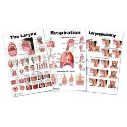 Larynx Respiration, Laryngectomy  Large Poster 3 Set