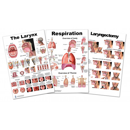 Larynx Respiration, Laryngectomy  Large Poster 3 Set