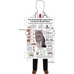 Cat 10 Health Concern,  Veterinary Physiology Feline Large Poster