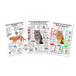 Cat 10 Health Concern Therapy and Health Signs,  Veterinary Physiology Feline  3 Large Poster set
