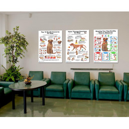 Dog 10 Health Concern Therapy and Health Signs,  Veterinary Physiology canine  3 Large Poster set
