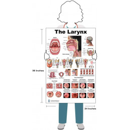 ENT 3 Poster Set, Larynx, Ear and Nose Large