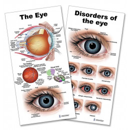 Eye Anatomy and Disorders of The Eye Small Poster