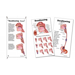 Swallowing 3 Set Small Poster