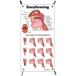 Swallowing Small Poster
