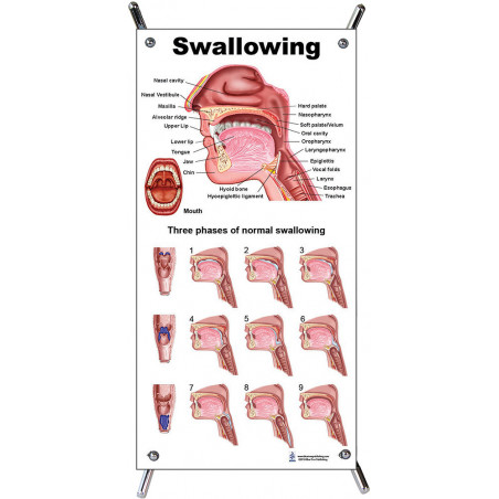 Swallowing Small Poster