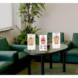 Tooth Anatomy, Decay, Oral Cavity 3 set Small Poster