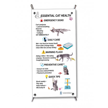 Keeping your cat healthy Chart for Veterinary Reference Small Poster