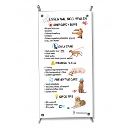 Keeping your Dog healthy Chart for Veterinary Reference Small Poster
