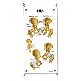 Hip Small Poster