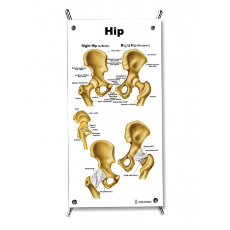 Hip Small Poster