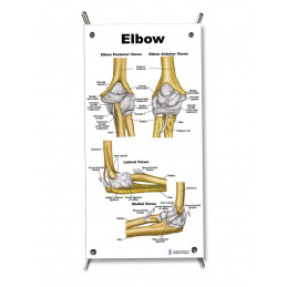 Elbow Small Poster