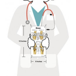 Knee Small Poster
