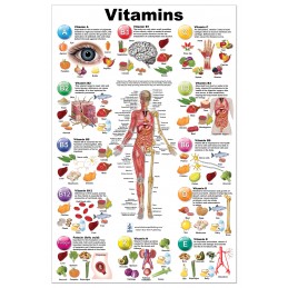 Vitamins Regular Poster