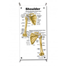Shoulder Small Poster