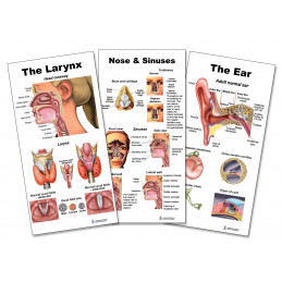 Ear Nose Throat Set