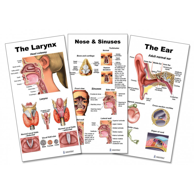 Ear Nose Throat Set