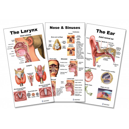 Ear Nose Throat Set