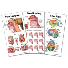 SLP Small Poster 3 Set