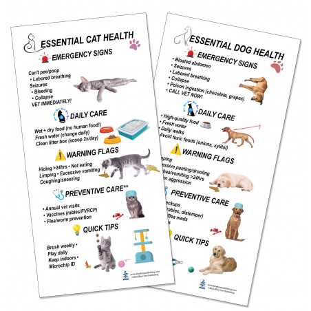 Keeping your Cat and Dog healthy Poster for Veterinary Reference Small Poster