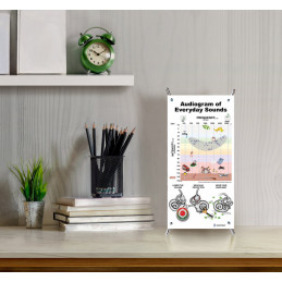 Ear, Auditory Pathway, Daily Noise, Audiogram 4 piece Small Poster