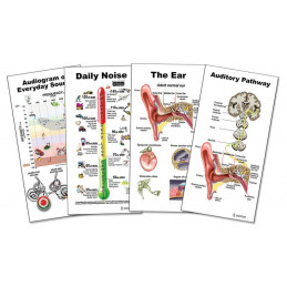 Ear, Auditory Pathway, Daily Noise, Audiogram 4 piece Small Poster