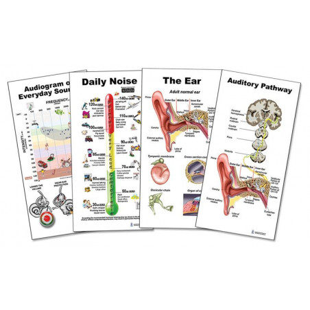 Ear, Auditory Pathway, Daily Noise, Audiogram 4 piece Small Poster