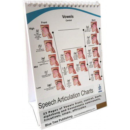Speech articulation anatomy Flip Charts