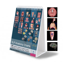 SLP Anatomy Flip Charts