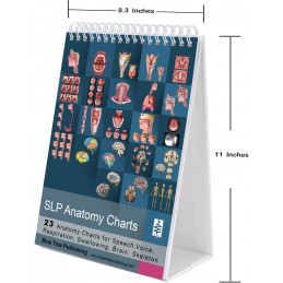 SLP Anatomy Large Flip Charts with QR Codes