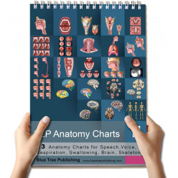 SLP Anatomy Large Flip Charts with QR Codes