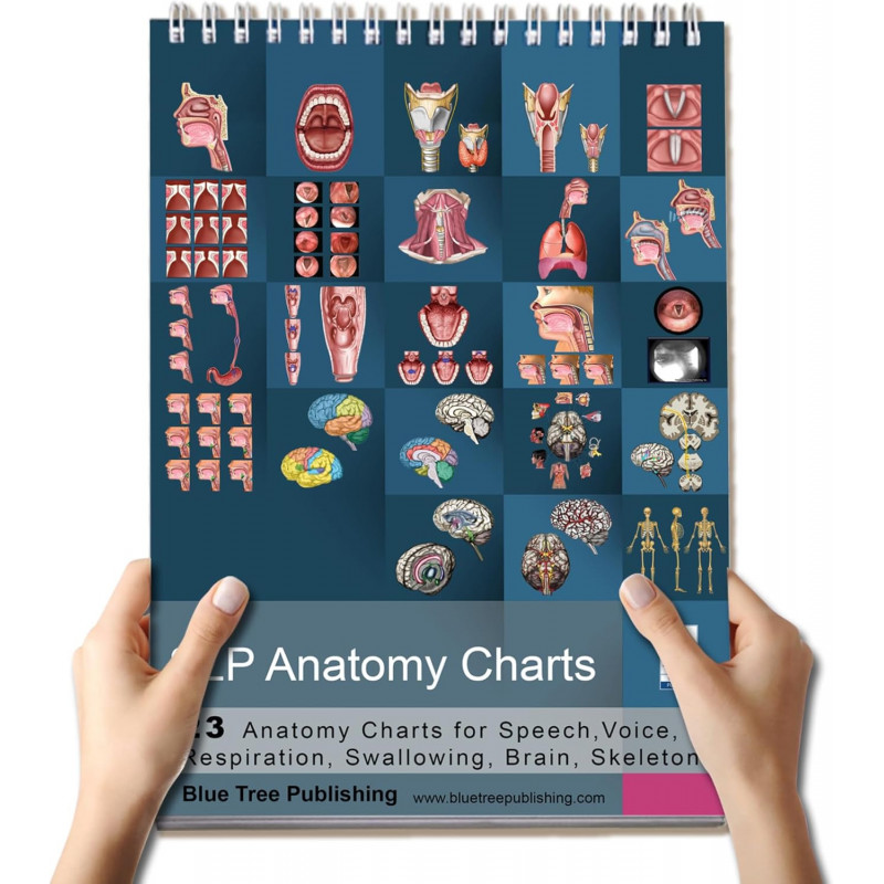 SLP Anatomy Large Flip Charts with QR Codes