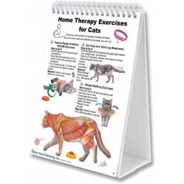 Dog and Cat Veterinary Anatomy A4 Flip Charts, Anatomy & Veterinary Physiology Feline Canine