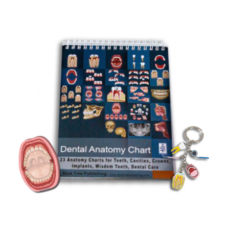 Dentist flipbook