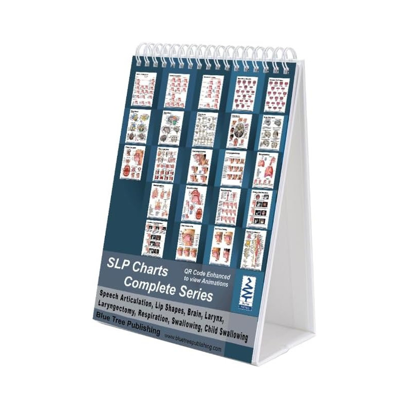 Speech Language Pathology SLP Charts Complete Series