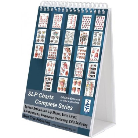 Speech Language Pathology SLP Charts Complete Series