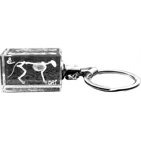 Cat Crystal Keychain