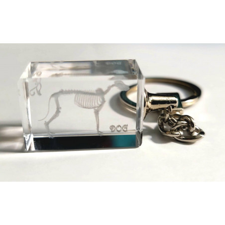 Dog Keychain