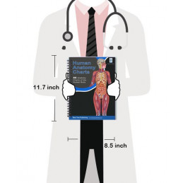 Human Anatomy Charts, 86 pages in full color book