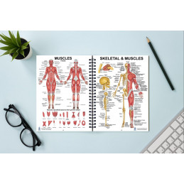 Human Anatomy Charts, 86 pages in full color book