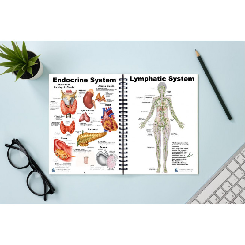 Human Anatomy Charts Book â€” 86 Full Color Reference Charts for ...