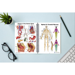 Human Anatomy Charts, 86 pages in full color book
