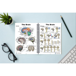 Human Anatomy Charts, 86 pages in full color book