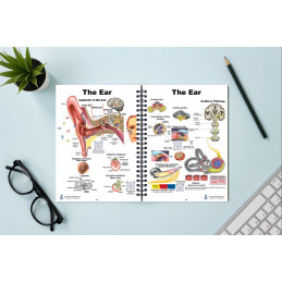 Human Anatomy Charts, 86 pages in full color book