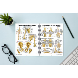 Human Anatomy Charts, 86 pages in full color book