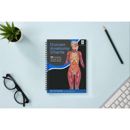 Human Anatomy Charts, 86 pages in full color book