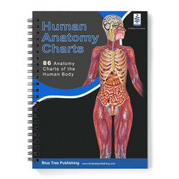 Professional A4 Anatomy Chart Book — 86 Full-Color Charts, Spiral-Bound, Lay-Flat