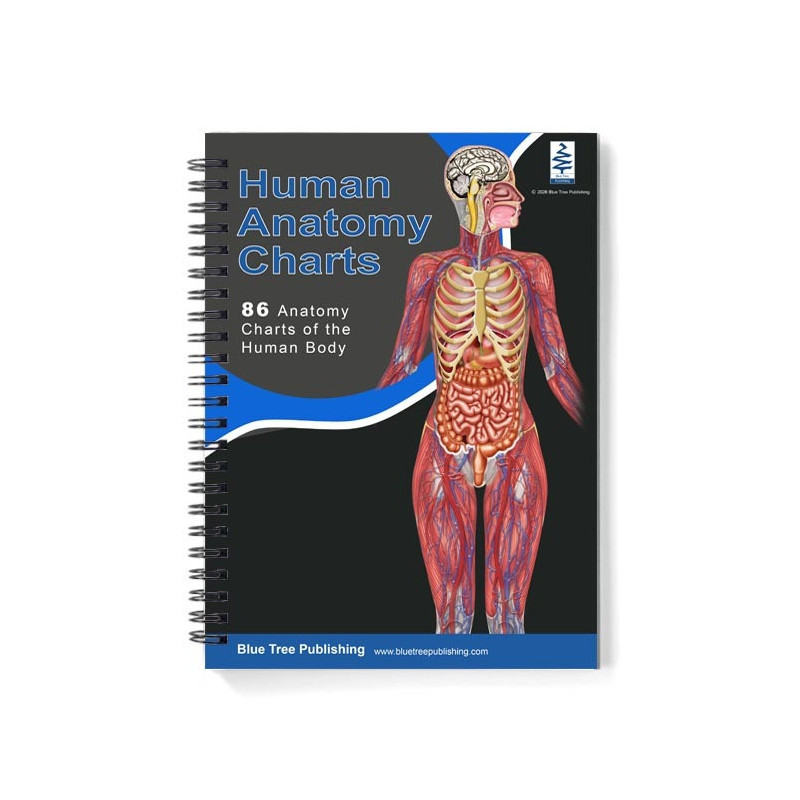 Professional A4 Anatomy Chart Book — 86 Full-Color Charts, Spiral-Bound, Lay-Flat