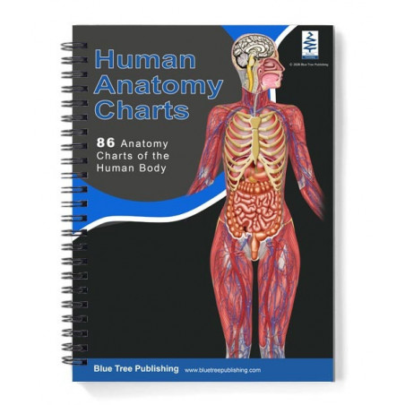 Professional A4 Anatomy Chart Book â€” 86 Full-Color Charts, Spiral-Bound, Lay-Flat