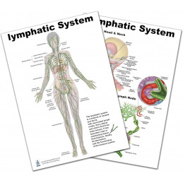 Lymphatic